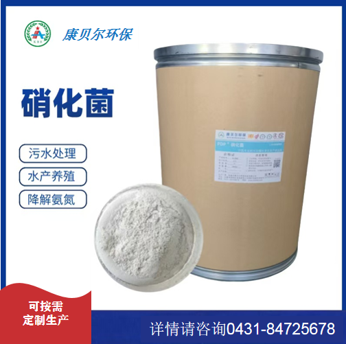 硝化菌（康贝尔）.png